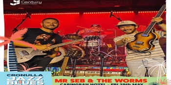 Mr Seb & The Worms