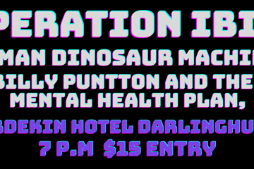 OPERATION IBIS, HDM, BILLY PUNTTON AND THE MENTAL HEALTH PLAN