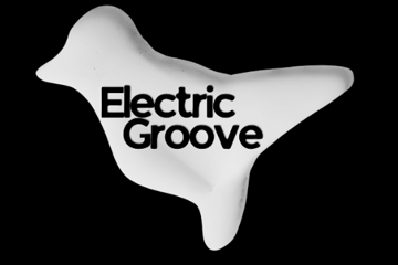 Electric Groove Vol.2