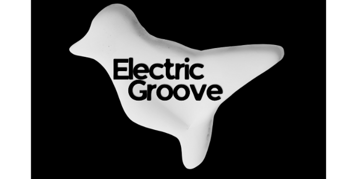 Electric Groove Vol.2