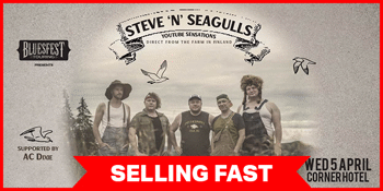 Steve ’n’ Seagulls (FIN)
