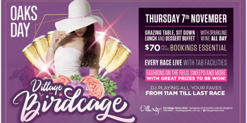 Village Birdcage