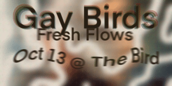 Gay Birds Fresh Flows