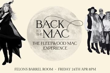 BACK TO THE MAC THE FLEETWOOD MAC EXPERIENCE