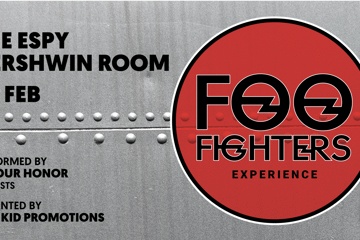 In Your Honour - Foo ?Fighters Experience