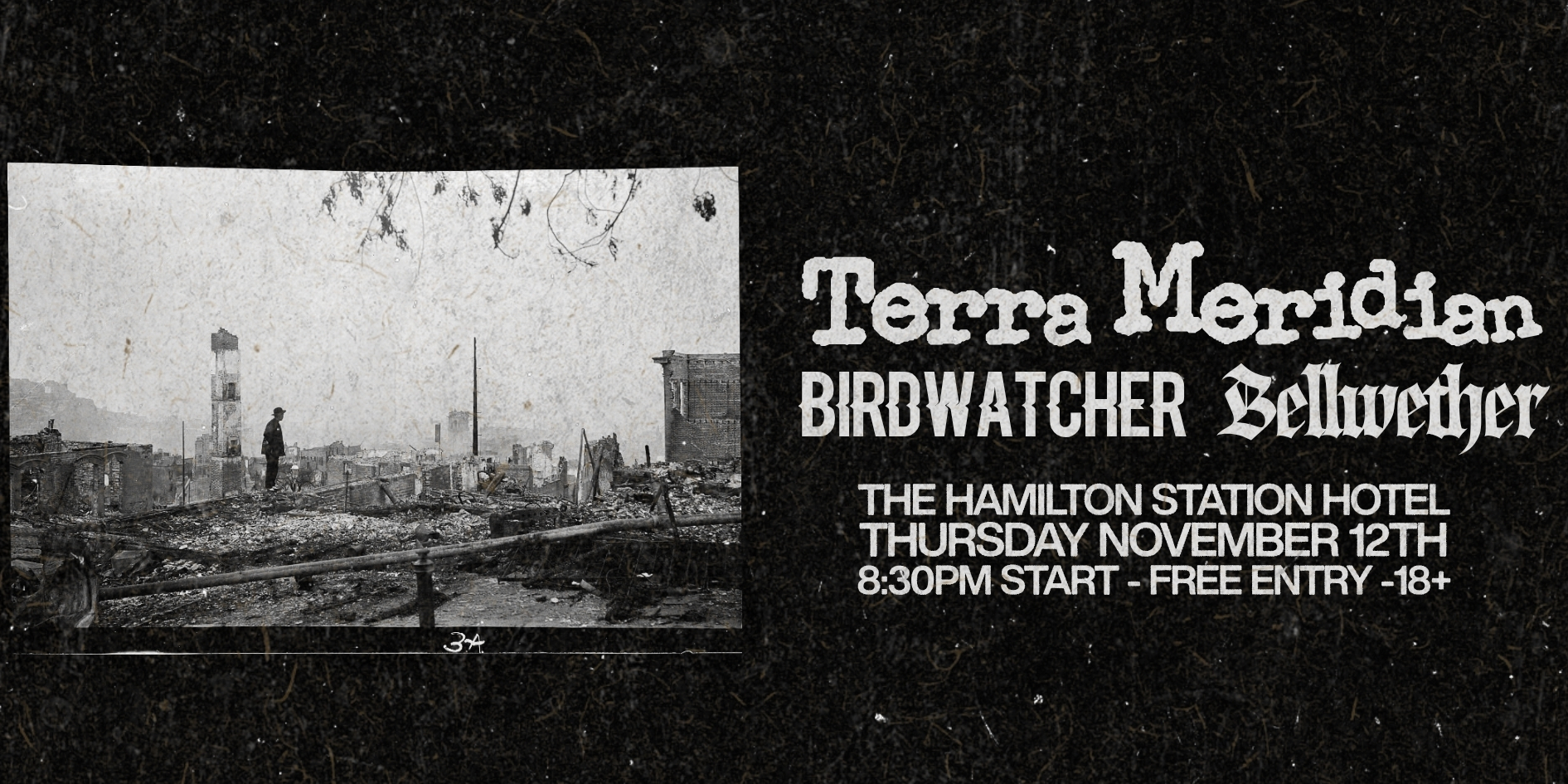Terra Meridian + Birdwatcher + Bellwether