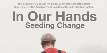 IN OUR HANDS