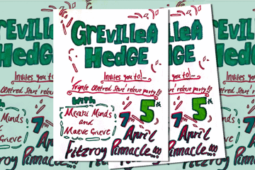 Grevillea Hedge 'Triple Centred Start' Single release party!