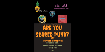 Are you Scared Punk?
