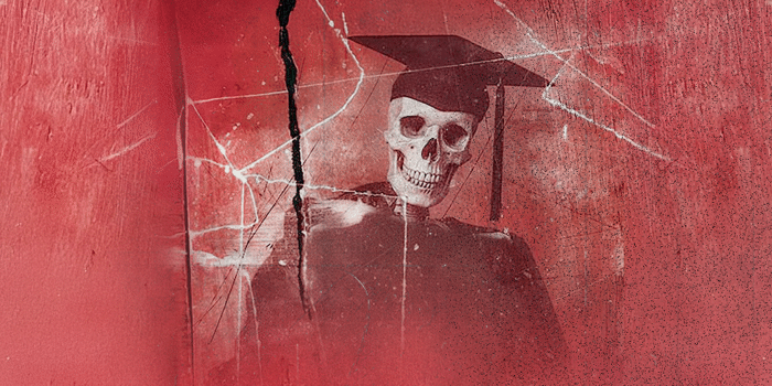 HED PE | Still 'Broke' Australian Tour 2026