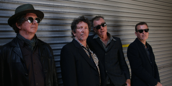 The Gadflys