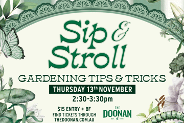 Sip & Stroll at The Doonan