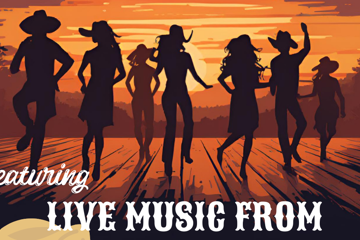 Pickering Brook Country night