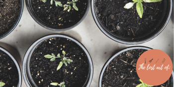 The lost art of: Propagation