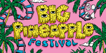 CHARTER BUSES - Big Pineapple Festival 2024