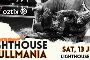 PBR Lighthouse Bull Mania