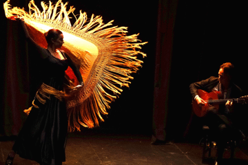 Flamencodanza