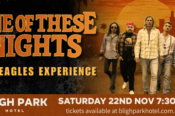 ONE OF THESE NIGHTS THE EAGLES EXPERIENCE
