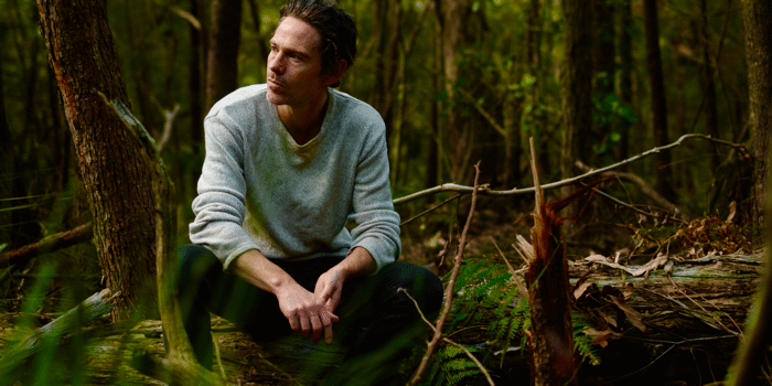 MARK WILKINSON Wild & Hunted Things Tour