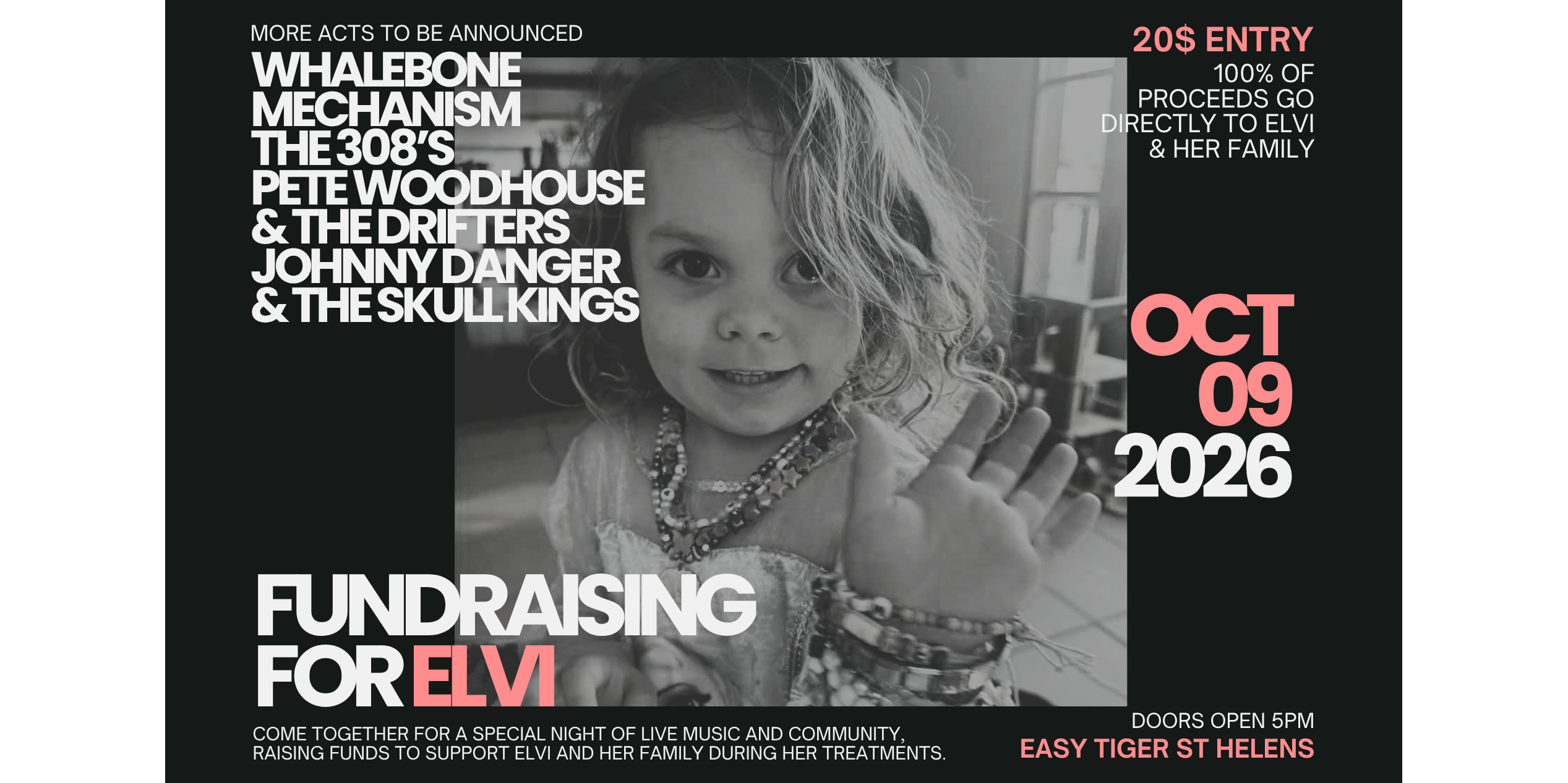Fundrasing for Elvi
