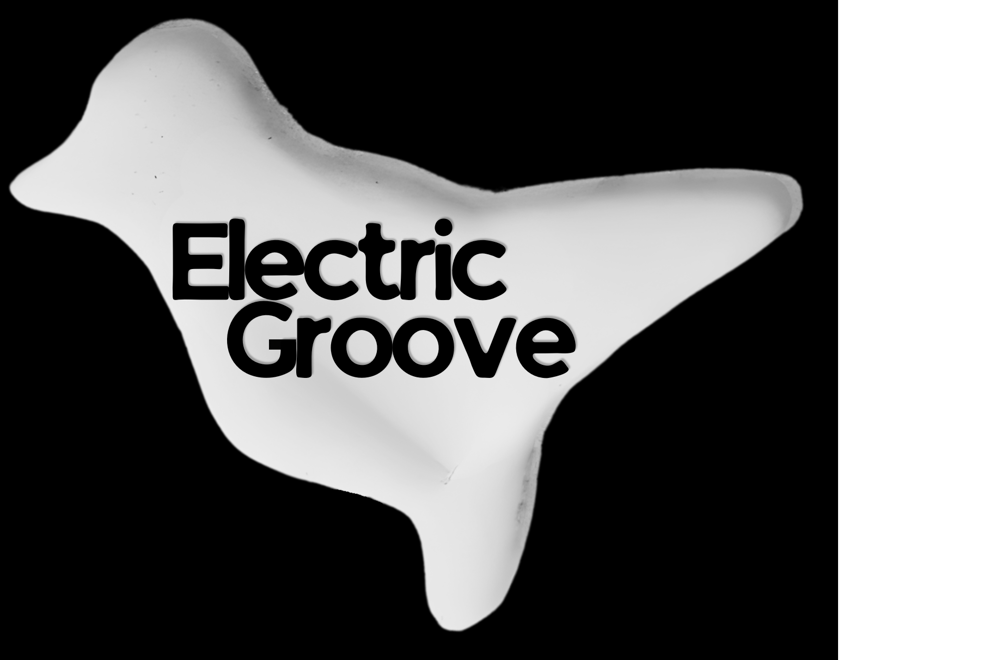 ELECTRIC GROOVE VOL.3