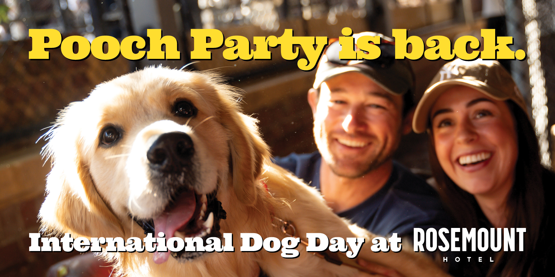 Pooch Party: International Dog Day 2026