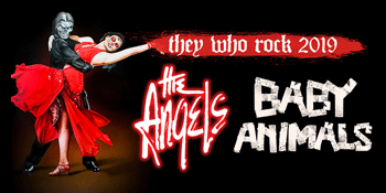 The Angels & Baby Animals: They Who Rock