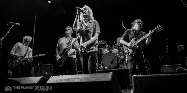 The Saints ’73-’78 live at The Gov - The Venue - Concert poster
