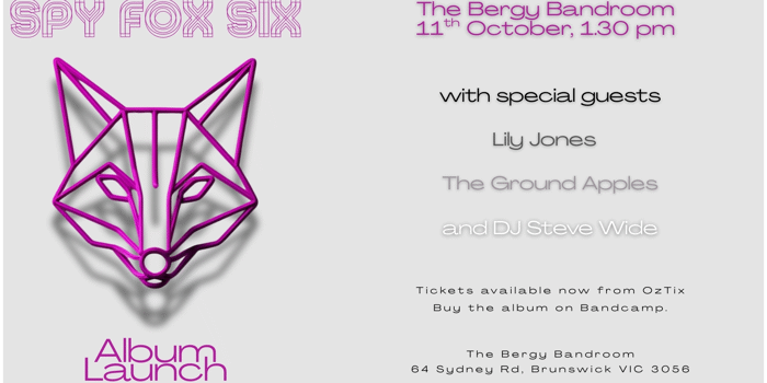 Spy Fox Six Album Launch
