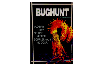 BUG HUNT - Launch