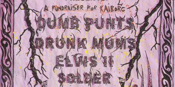 A Fundraiser For Kaiborg ft. Dumb Punts, Drunk Mums, Elvis II + Solder