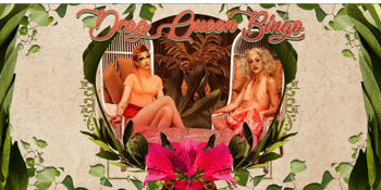 September 25th Drag Queen Bingo