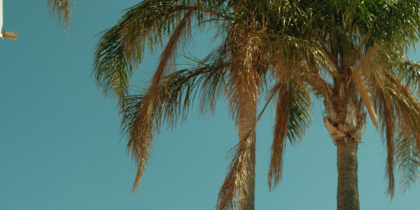 SUNDAY SESH live at Indian Ocean Hotel in Scarborough on April 05, 2026 - Concert poster