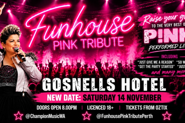 FUNHOUSE - Pink Tribute Show | GOSNELLS