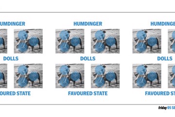GORE presents Humdinger, Dolls and Favoured State