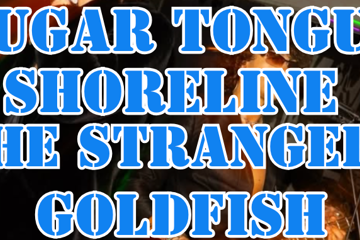 Sugar Tongue, Shoreline, The Strangers and Goldfish