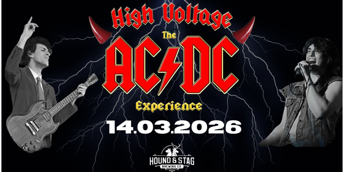 THE ACDC TRIBUTE SHOW