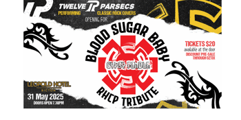 Blood Sugar Baby : Red Hot Chili Peppers Tribute