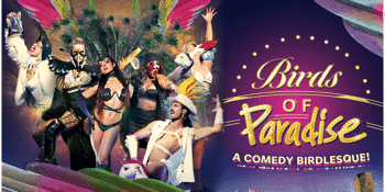 Birds of Paradise: A Comedy Birdlesque!