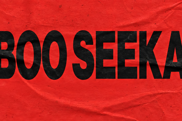 Boo Seeka