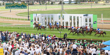 Canberra Racing Club 2026 - 2027 Membership - Renewals
