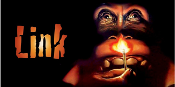 LINK (M) Presented in 35mm Film