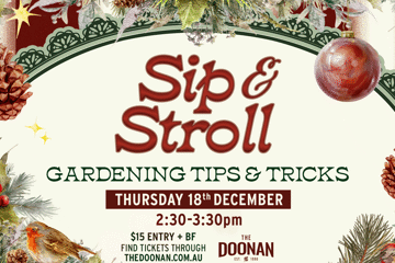 Sip & Stroll at The Doonan