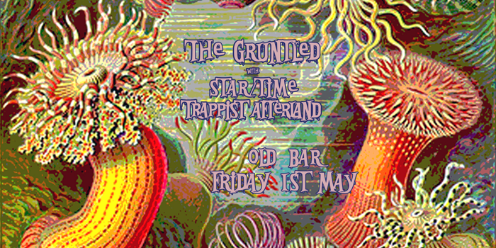 THE GRUNTLED