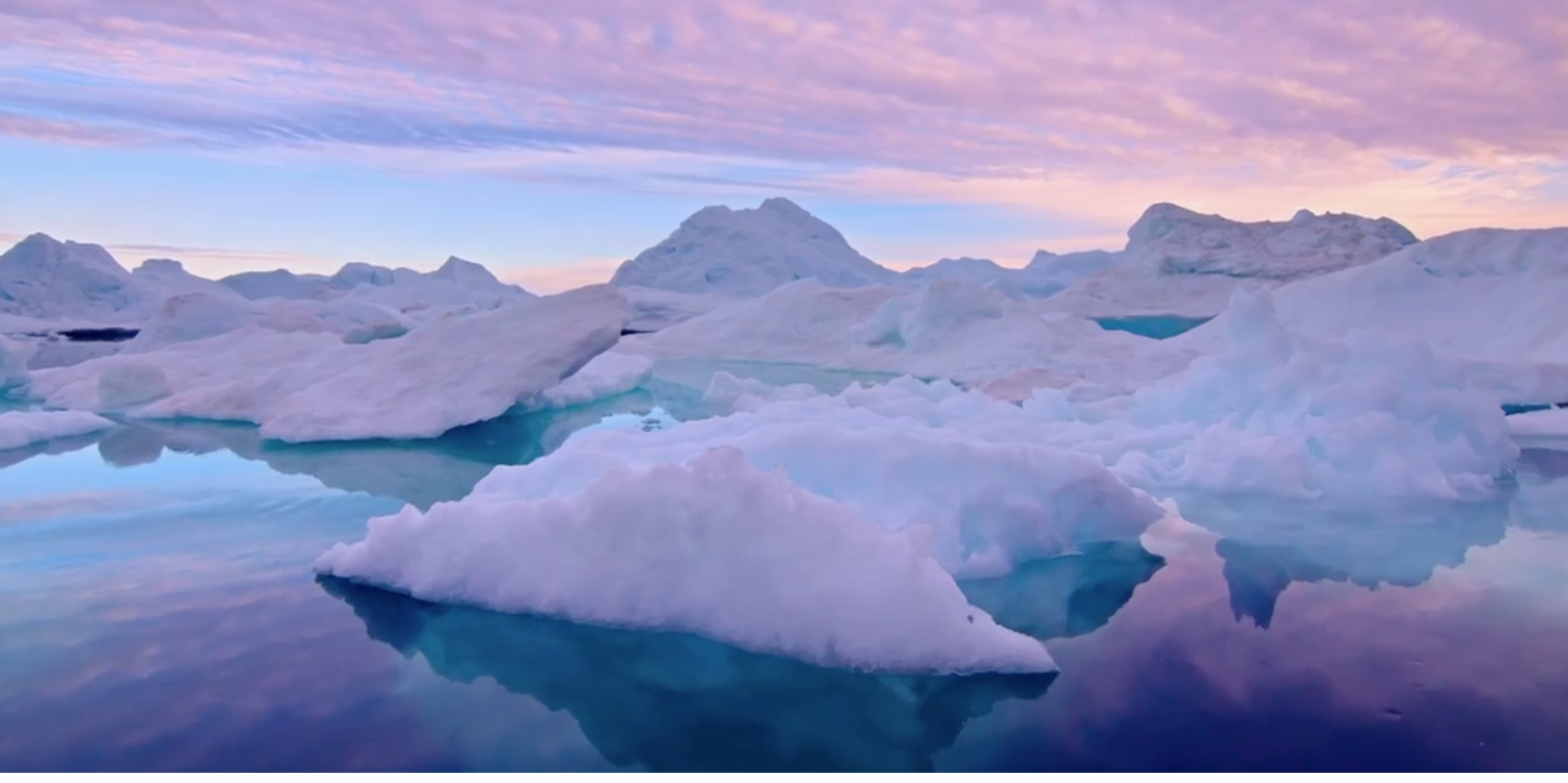 AN INCONVENIENT SEQUEL (2017): a fundraiser for Mount Alexander Sustainability Group.