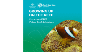 Growing Up on the Reef - How do Reef creatures grow