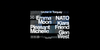 Urchin in Torquay