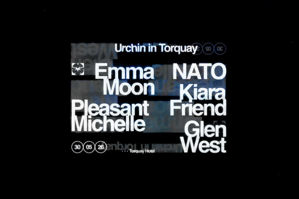 Urchin in Torquay
