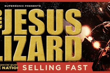 the Jesus Lizard