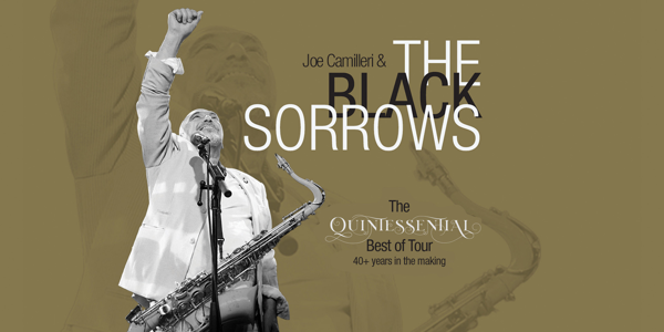 The Black Sorrows image